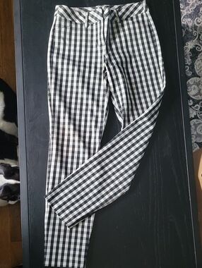 Express Black and White Gingham Editor Pants
